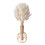 Bunny Tails Dried Flowers Rustic Farmhouse Decor 60pc 2