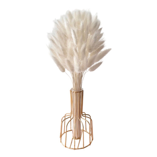 Bunny Tails Dried Flowers Rustic Farmhouse Decor 60pc 1