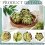 Artificial Green Artichokes Decor Set – 6 pcs 3