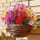 24pcs Multipurpose Artificial Violets Blooms Flower For-Pink 5