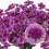24pcs Multipurpose Artificial Violets Blooms Flower For-Pink 7
