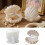 Shell Shape Plate Silicone Mold Resin Tray Mould For Resin 2