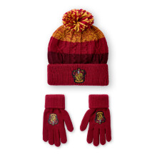 Harry Potter Beanie and Gloves Set (Unisex Kids Multicoloured)