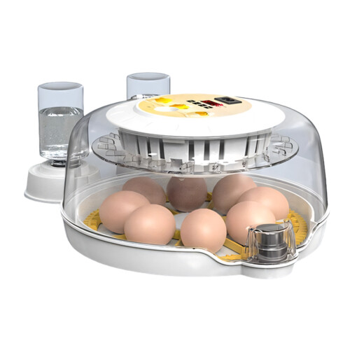 Mini-embryo-incubator voor 18 divisies Ruimtebesparend-Wit