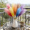 6PCS/Pack Large Bulrush Pyrotechnics Stems Lovely Gradient-Pink 7