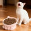 Tigela elevada para gatos com base antiderrapante rosa 6