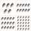 5pack Efficient Metal Brushed Gears Reduction Motor-5 pieces 2