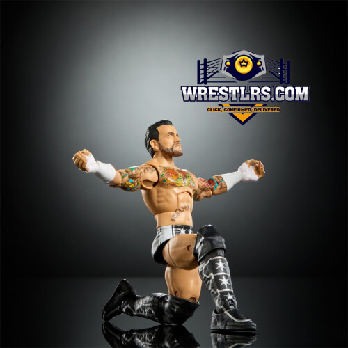 WWE CM Punk - WWE Elite Series 124 1