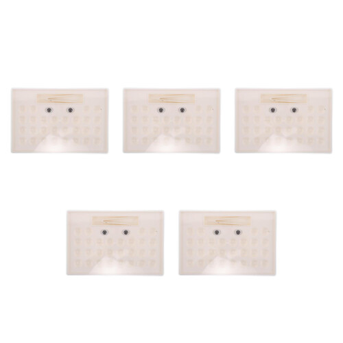 5Pièces Étui De Rangement Beige Transparent Compact Robuste 2
