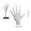 3D-geprint verstelbaar kunstenaarshandmodel (13 inch) 3
