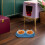 Gamelle double KALLORY pour animaux de compagnie avec 2 compartiments 3