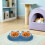 Gamelle double KALLORY pour animaux de compagnie avec 2 compartiments 6