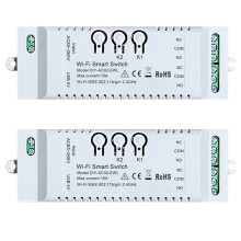 2X Interruttore Intelligente WiFi 2CH Timer DIY APP EWeLink 85-265V USB 5V 2.4G Modulo Domotico WiFi per Alexa  Home IFTT