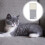 Chat Sisal Clair Anti-Griffures Protège 8