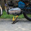 Motorcycle Footrest Kickstand Bracket Aluminum Alloy 4