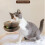 Katzenkratzbrett aus strapazierfähigem, wendbarem Wellkarton 3