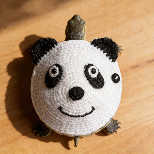 Cartoon-Panda-Form-Schildkröten-Kostüm, gestrickter-L 2