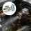 Industrial Waste Oil Atomizer Replacement Siphon Full Cone-10 4