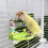 Jouet à mâcher coloré pour oiseaux, support de perche,-Vert 6