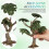 4Pcs Plastic Miniature Trees for Model Railroads and Landscape Scenery 11