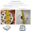 Collapsible RV Wash Basin Gray 9L 8
