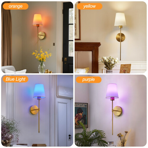 Appliques murales RGB avec télécommande, lot de 2 appliques à intensité variable 2