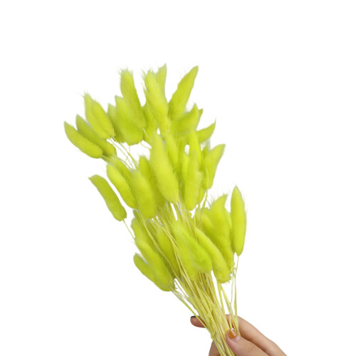 60Pcs Natural Dry Hare Tails 23.6Inch Height-Fruit green