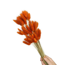 60Pcs Natural Dry Hare Tails Pampasgrass Dried-retro orange.