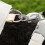 Adjustable AntiDust Protective Dog Pants For Breeds-S 5