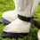 Adjustable AntiDust Protective Dog Pants For Breeds-S 6