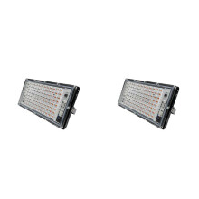 2X Vollspektrum-LED-Wachstumslicht, Phytolampe für Pflanzen, Zelt, Blumensaat, 100 W, Reichweitenlampe, Outdoor-Flutlicht, EU-Stecker