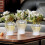 Classical Ceramic Vases Gingers Jar with Lid for Floral-4 5