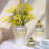 Classical Ceramic Vases Gingers Jar with Lid for Floral-4 6
