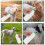 1Ensemble Mouton Plastique Sûr Pratique 8