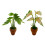 Realistic Greenery Plant Miniature Houseplants Desk-1 2