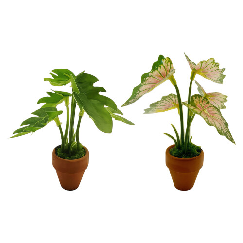 Realistic Greenery Plant Miniature Houseplants Desk-1 1