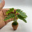 Realistic Greenery Plant Miniature Houseplants Desk-1 5