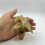 Realistic Greenery Plant Miniature Houseplants Desk-1 7