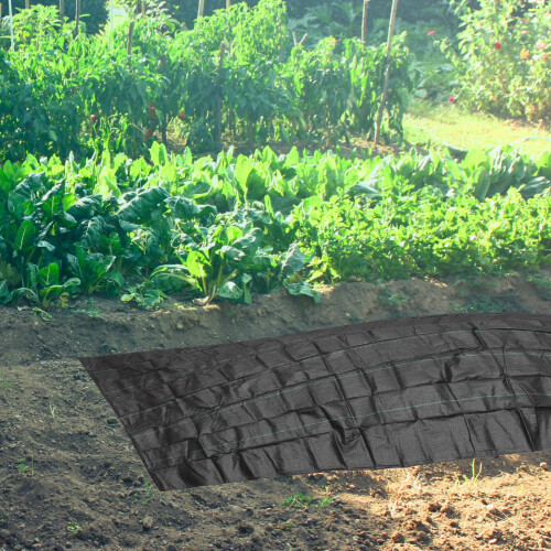 Grasschutz Kunststoff Gartenbedarf 2