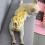 Adjustable Dog Diaper Harness Soft Breathable Fabric-XL 1 7
