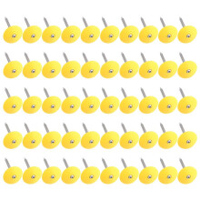 2Inch Plastic Round Cap Roofing Nails Galvanized Tar Paper Nails for House Wrap Fastening Foam Board Roofing , 50PCS