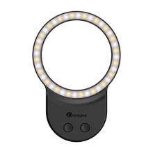 Fotorgear Magnetic Fill Light Pocket Selfie Light Phone Vlog Live Filling Light for   Mobile Phone Photography Black