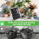 Automated Irrigation Device For Garden With Solar Panel And 2