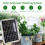Automated Irrigation Device For Garden With Solar Panel And 4
