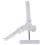 Articulation PVC Pour Cours D'anatomie 10