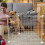 1Ensemble Pour Animal Fer Respirante Ajustable Robuste 4
