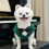 Costume formel pour chien, ajustement confortable pour les-4XL 3 6