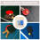 1Ensemble Raquette Pickleball Éponge Multi Usage Pour Maison 9