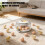 Mini-embryo-incubator voor 18 divisies Ruimtebesparend-Wit 6