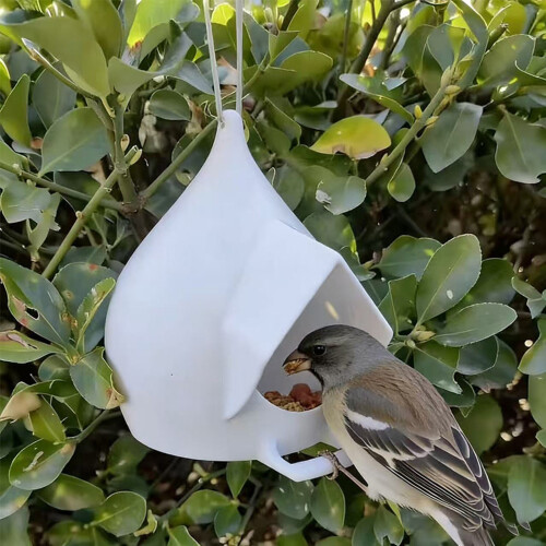Hanging 3D Printed Feeder with Perch Large Capacity Easy-White 2